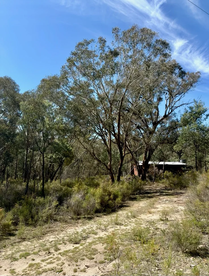 4244 Hill End Road, Mudgee NSW 2850 photo 2