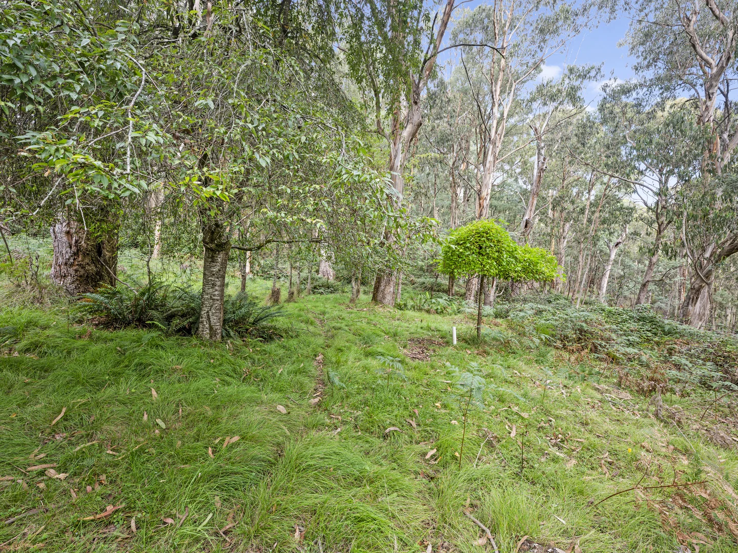 Additional image 7 of 62 Shane Lane, Tolmie VIC 3723
