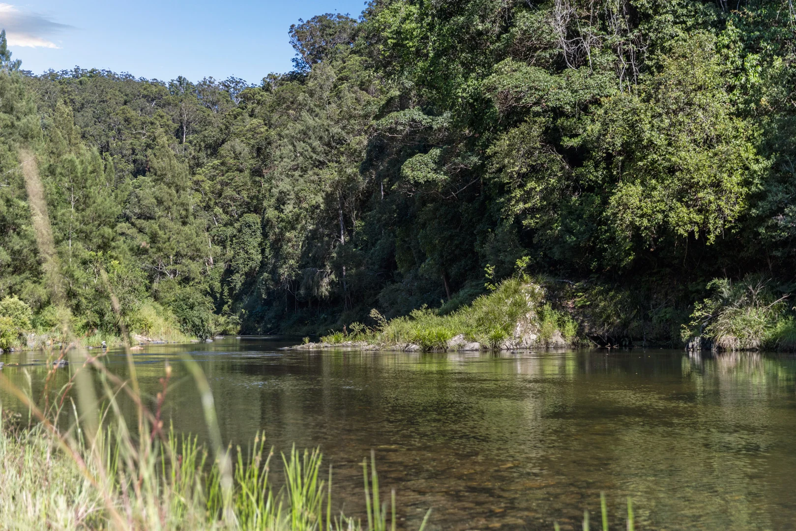 Additional image 7 of 1476 Darkwood Road, Bellingen NSW 2454