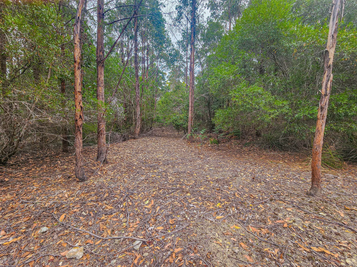 Additional image 18 of 1 Link Road, Lonnavale TAS 7109