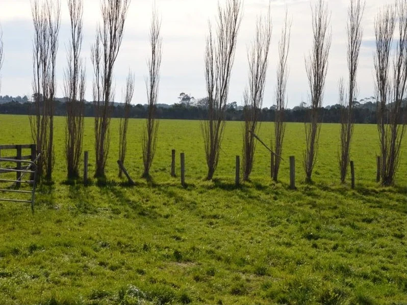 Additional image 10 of 2160 Bass Highway, Bass VIC 3991