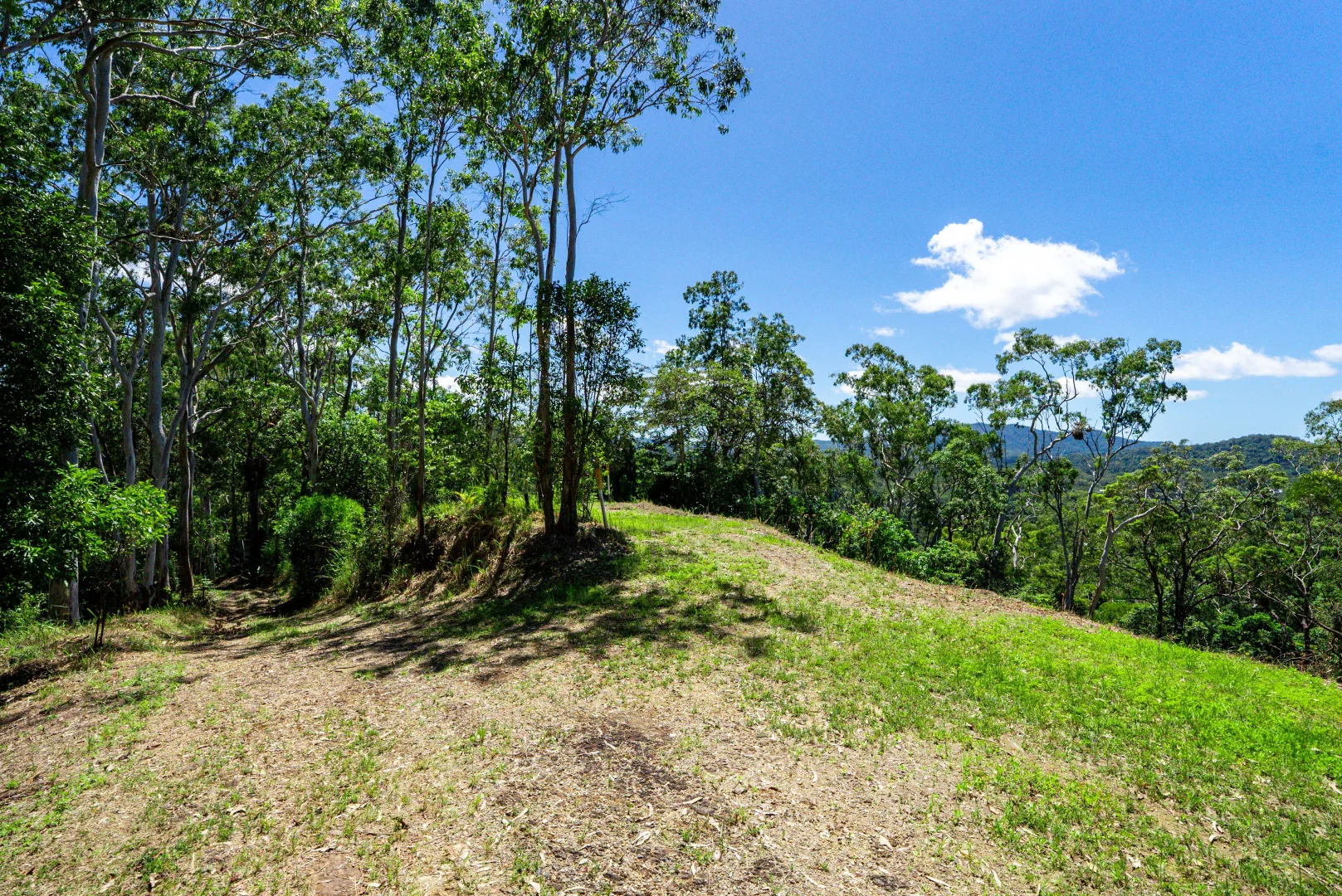 Additional image 14 of 108 Windy Hollow Road, Kuranda QLD 4881