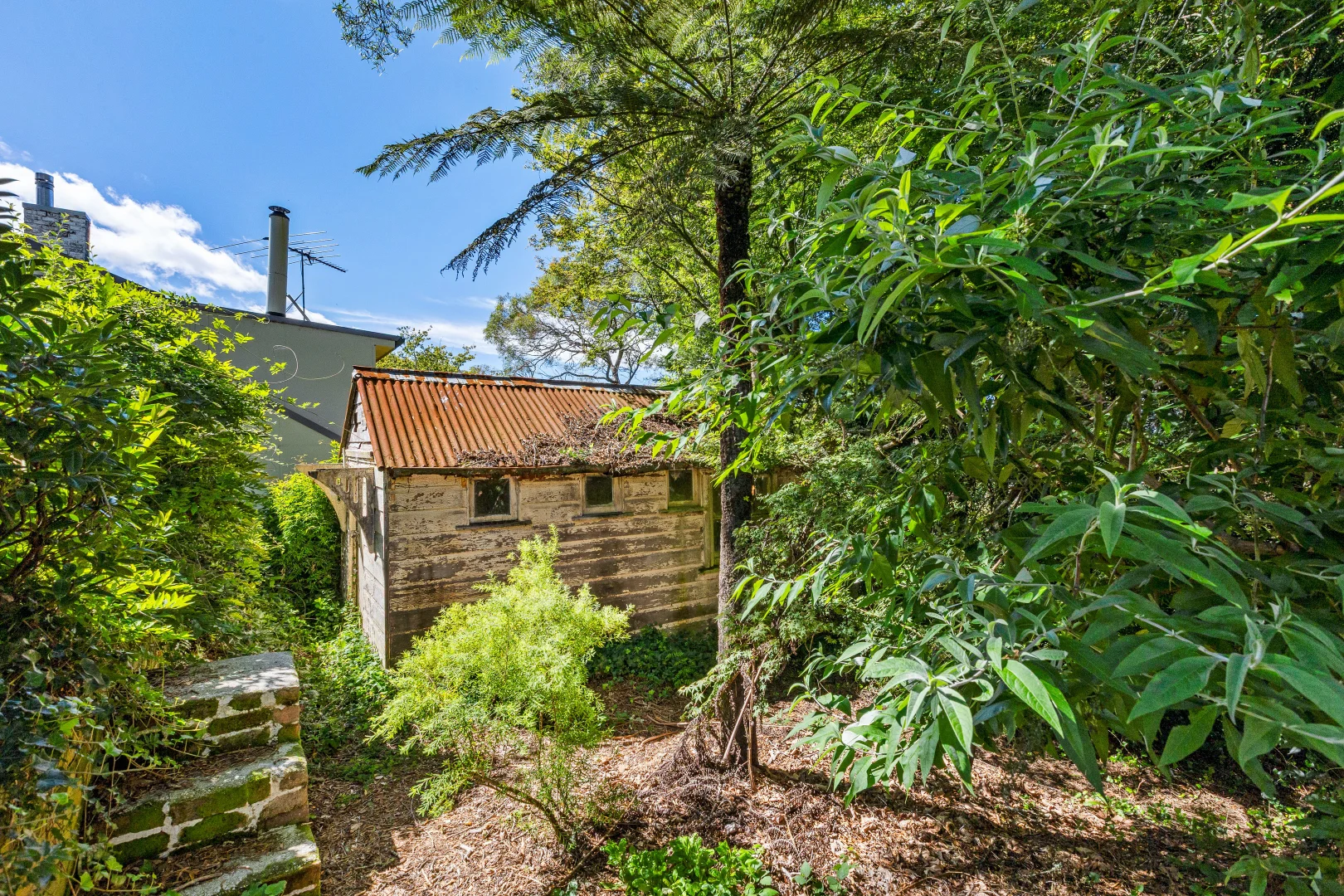 Additional image 4 of 3 Carysfort Street, Blackheath NSW 2785