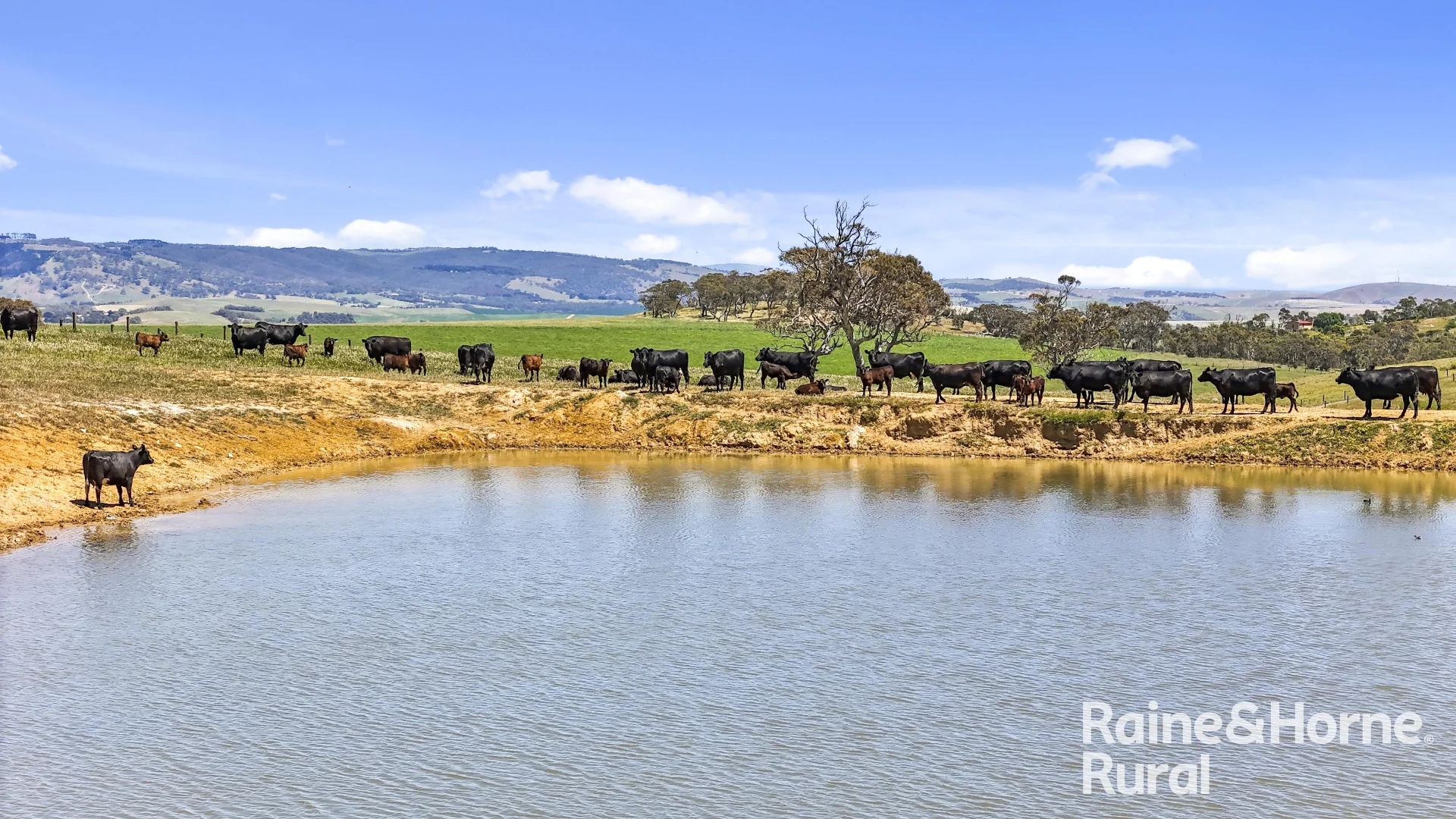 433 James Track, Inman Valley SA 5211 photo 5
