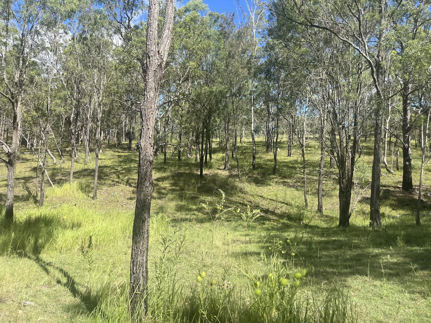 Additional image 7 of 8454 Cunningham Highway, Tarome QLD 4309