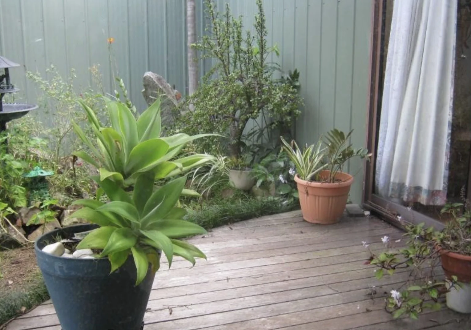 Additional image 21 of 874 Cobargo Bermagui Road, Coolagolite NSW 2550