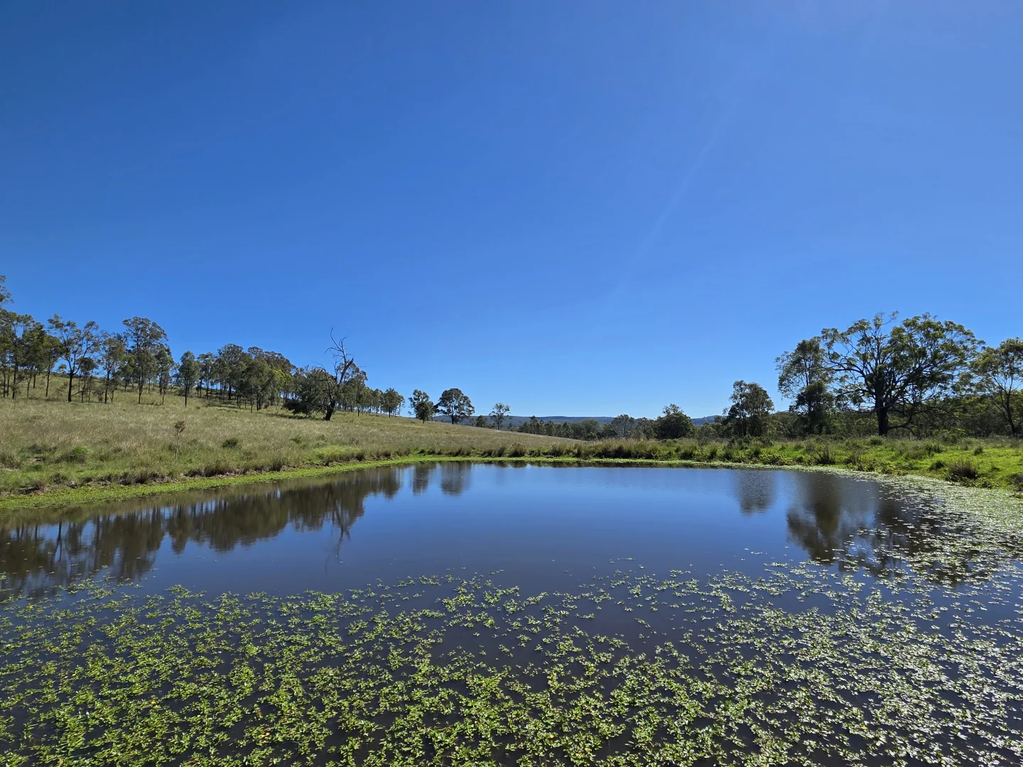 Additional image 10 of 160 Rocky Gully Road, Crows Nest QLD 4355