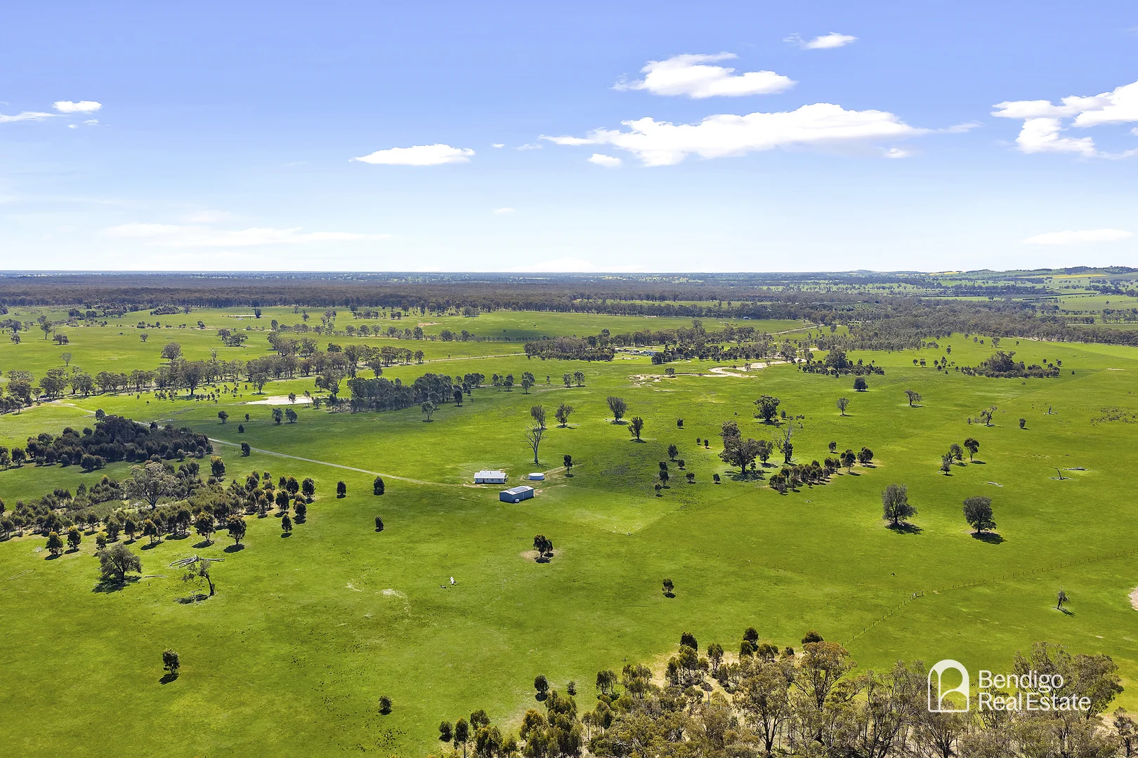 Additional image 6 of 1186 Derrinal-Crosbie Road, Toolleen VIC 3551