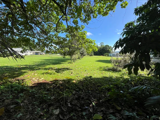 2 Allison Street, Daradgee QLD 4860 photo 4