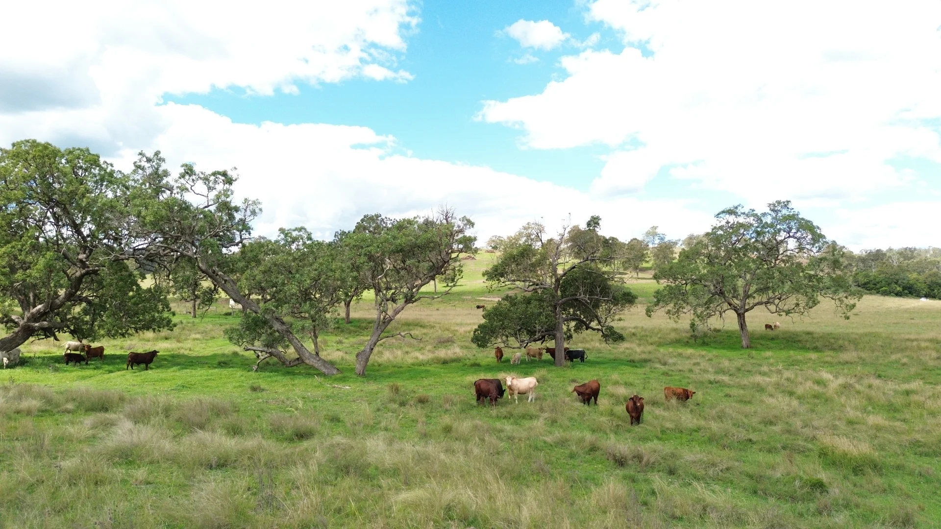 Additional image 2 of 492 North Maclagan Road, Maclagan QLD 4352