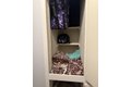 Additional image 41 of 1265 Brentwood Ave, Gustine, CA, 95322