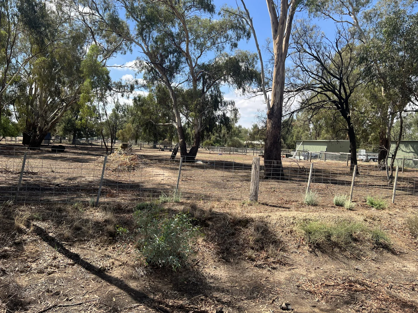 Additional image 4 of 40 Racecourse Road, Berrigan NSW 2712