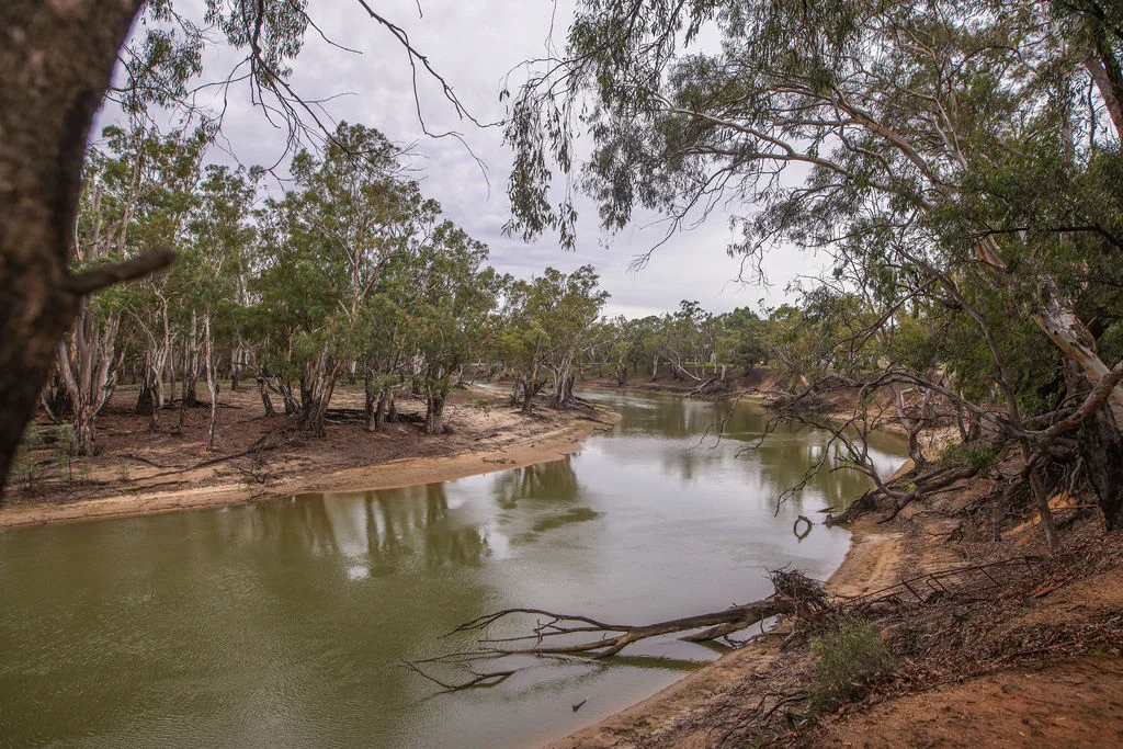 Additional image 17 of 'Old Hanley Park' 444 Greaves Road, Deniliquin NSW 2710