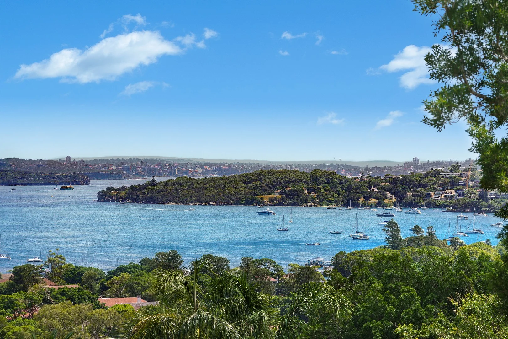 6/85 Drumalbyn Road, Bellevue Hill NSW 2023