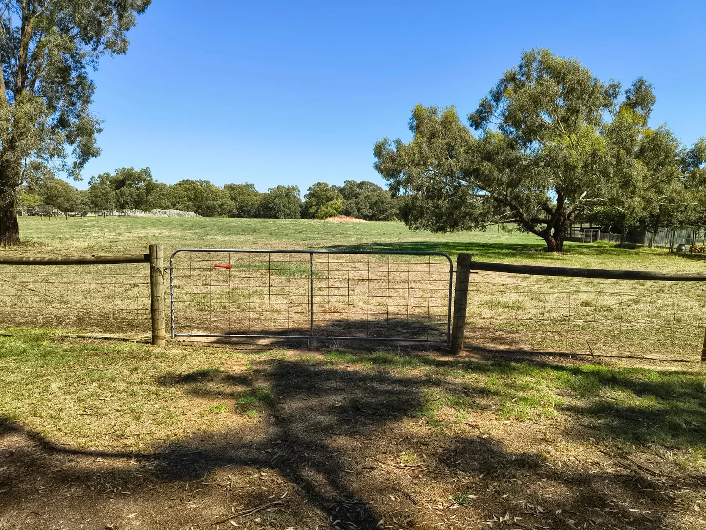 Additional image 4 of 46 Queen Street, Avenel VIC 3664