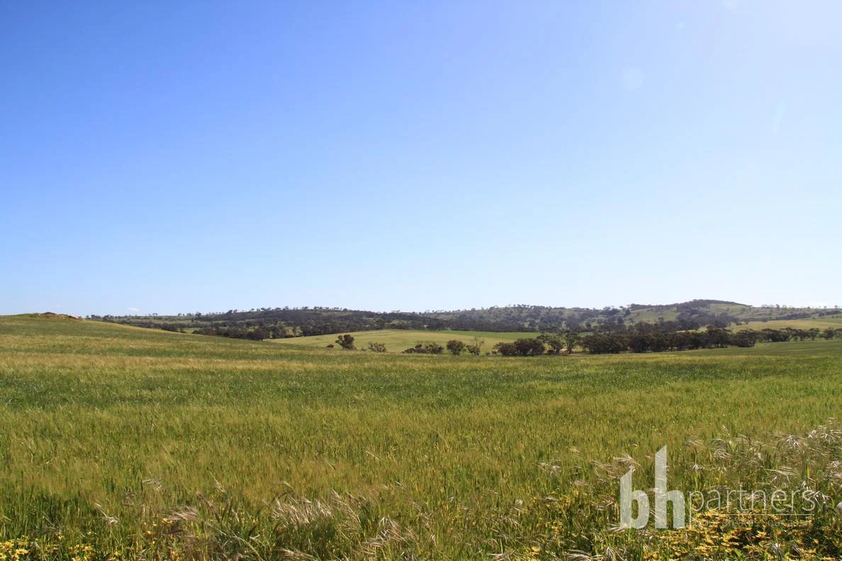 Additional image 26 of Section 332 and Section 330 & 405 Kubenk Road, Rockleigh SA 5254