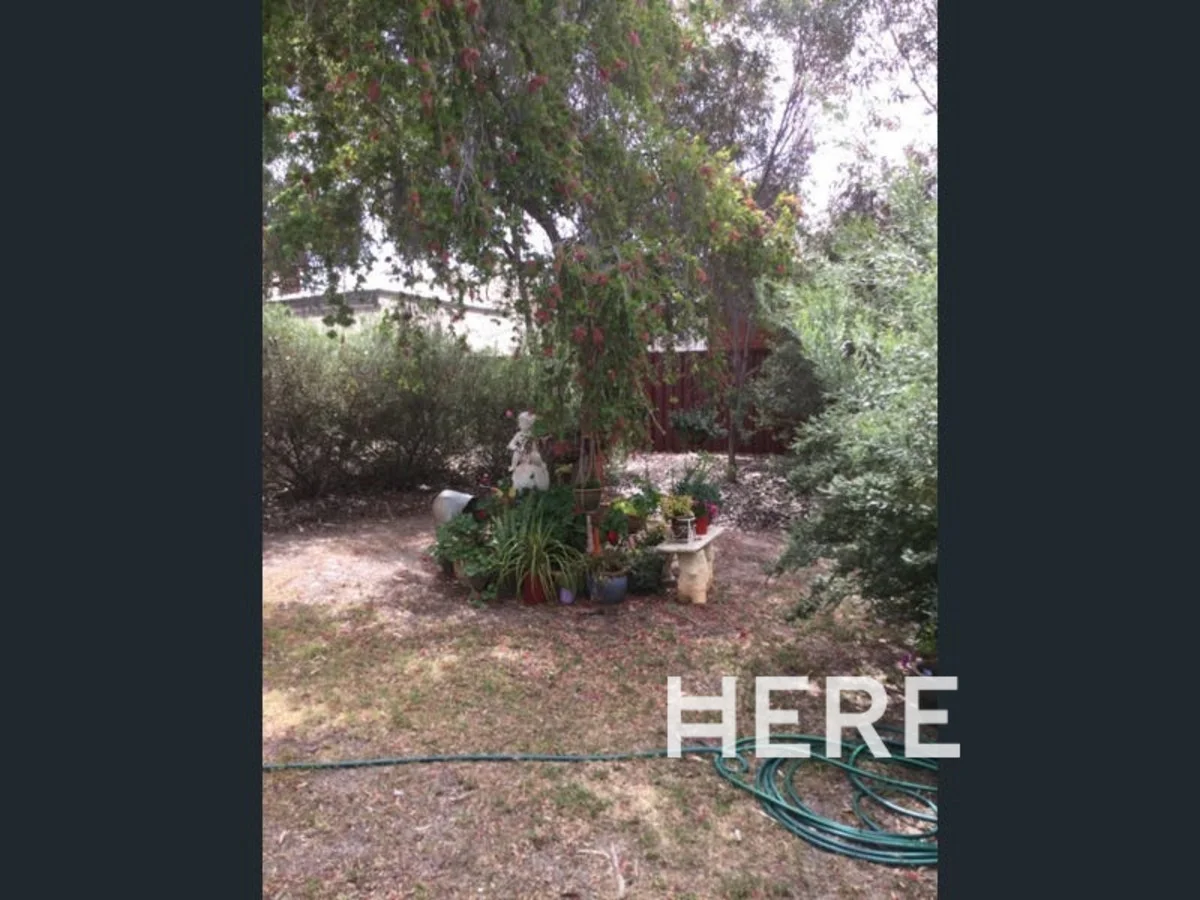 Additional image 10 of 57 Bartram Street, Beverley WA 6304
