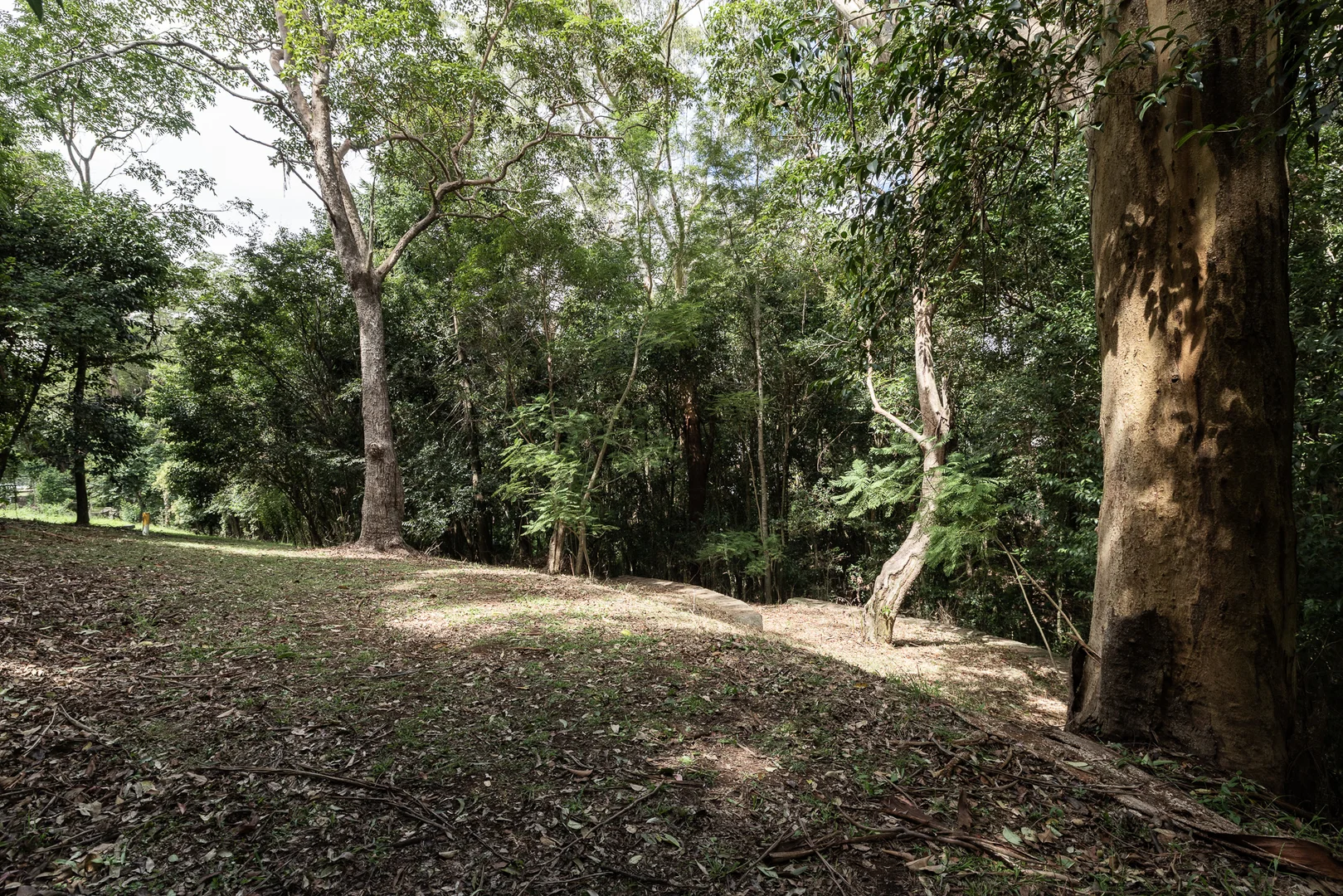 Additional image 9 of Lot 1 Allinga Street, Mount Lofty QLD 4350