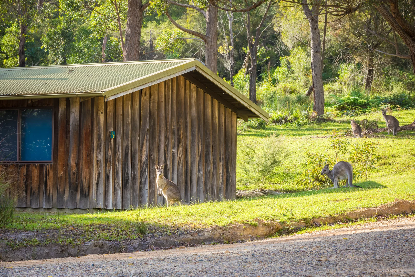 Additional image 3 of 3/111 Widgeram Road, Bournda NSW 2548