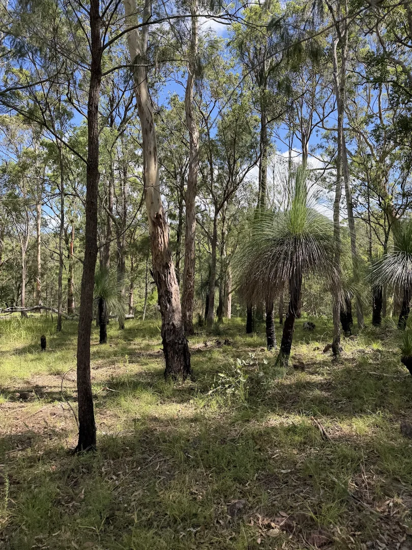 Additional image 6 of 8454 Cunningham Highway, Tarome QLD 4309