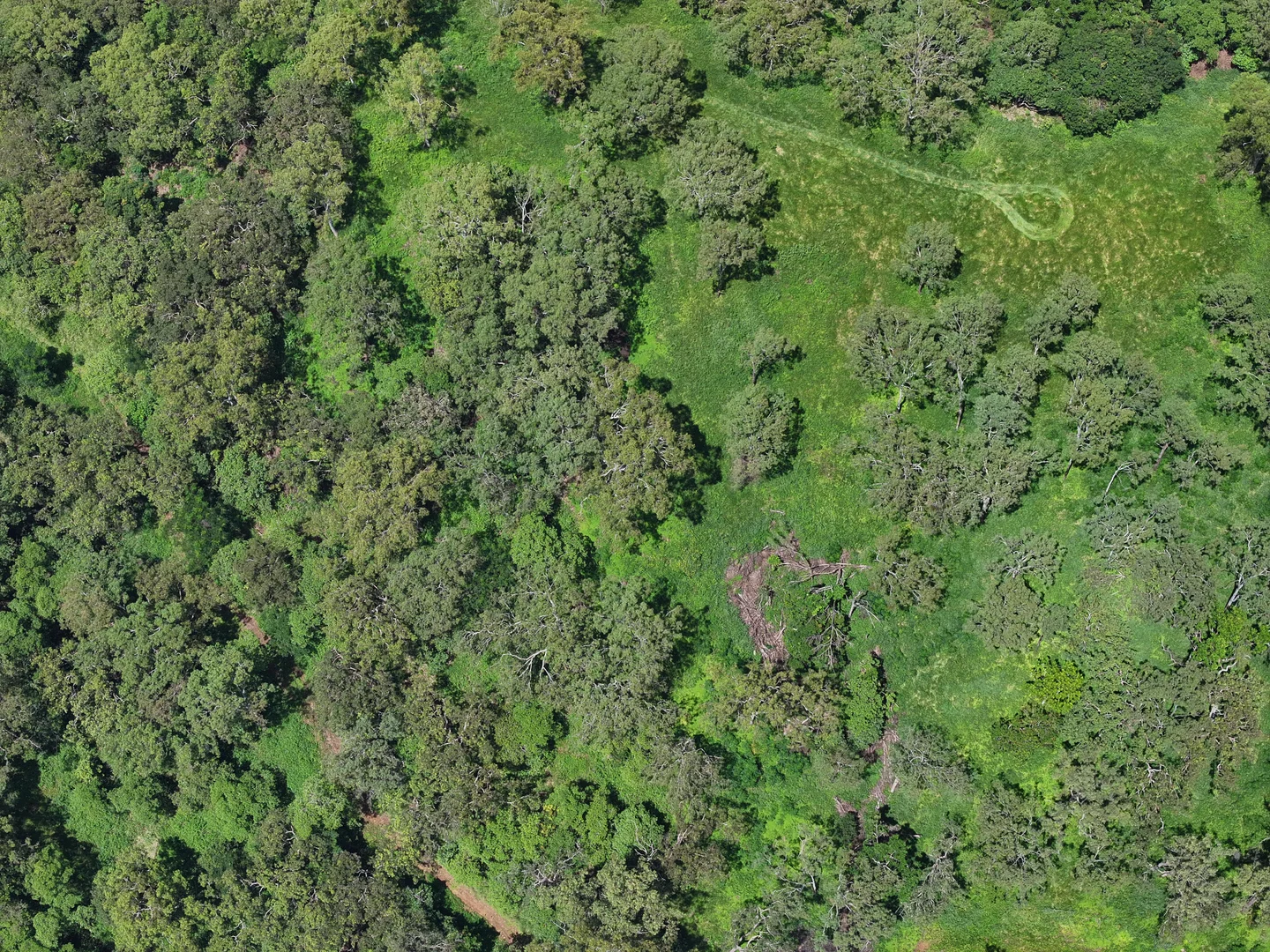 Additional image 6 of 227 Olletts Road, Habana QLD 4740