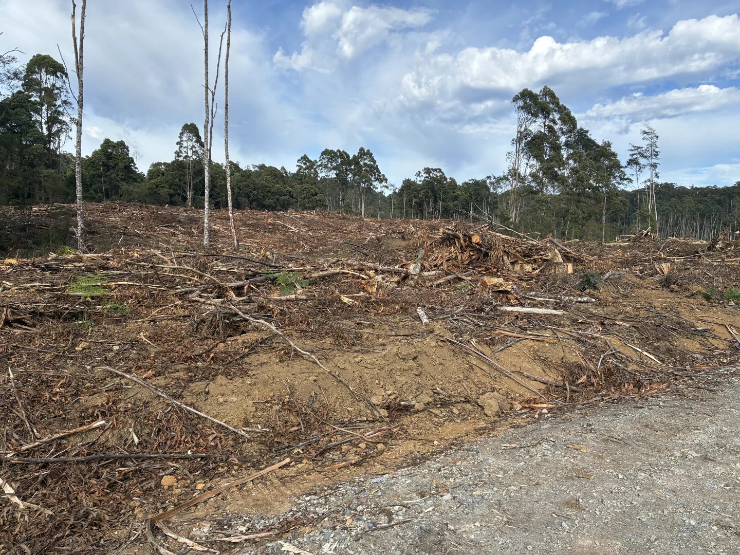 . Calder Road, Calder TAS 7325 photo 5