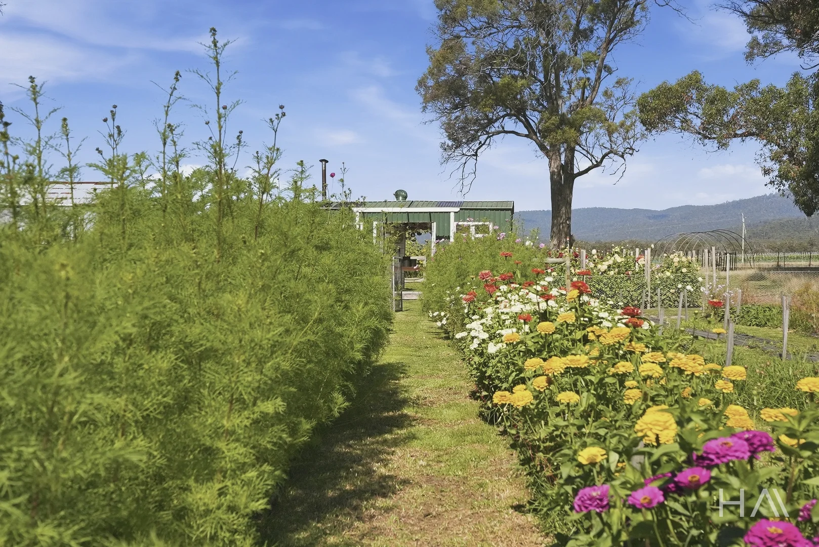 Additional image 36 of 513 Greens Beach Road, York Town TAS 7270