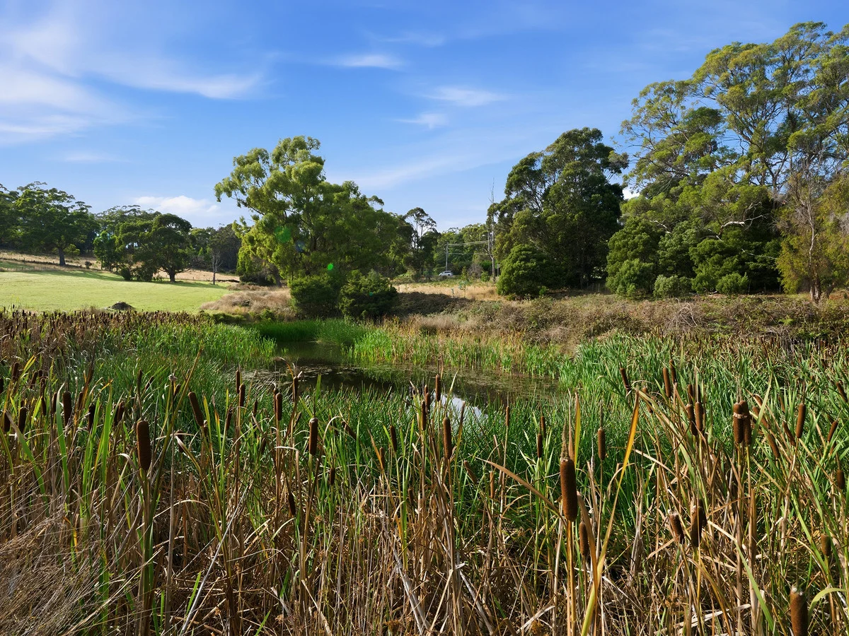 Additional image 18 of 724 Nubeena Road, Koonya TAS 7187