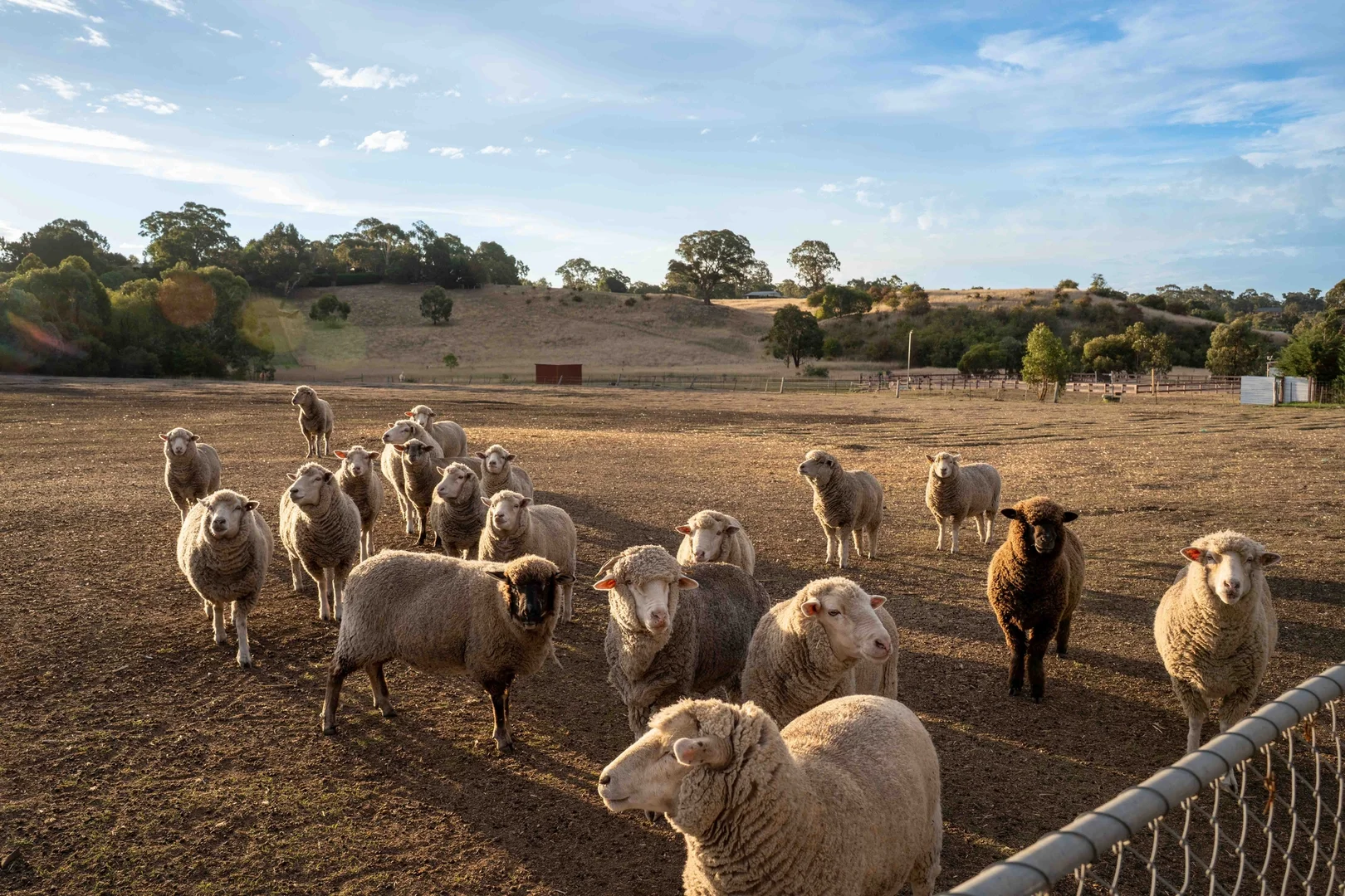 Additional image 18 of 45 Criterion Court, Clunes VIC 3370