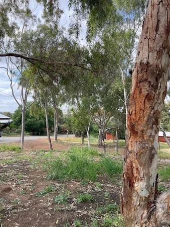 Additional image 6 of 19 Harriott Street, York WA 6302