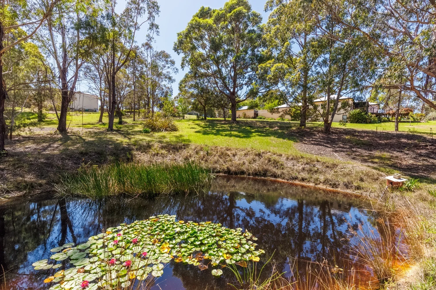 Additional image 13 of 21 Komirra Dr, Eden NSW 2551
