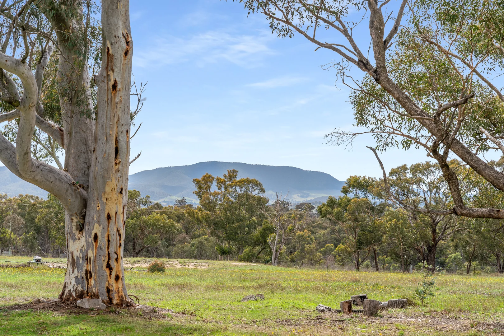 Additional image 5 of 1289 Carlwood Road, O'Connell NSW 2795
