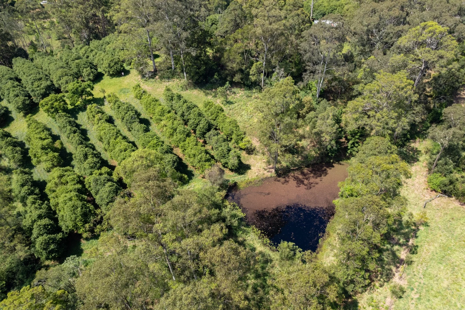 Additional image 5 of Lot 11 Highfield Road, Valla NSW 2448
