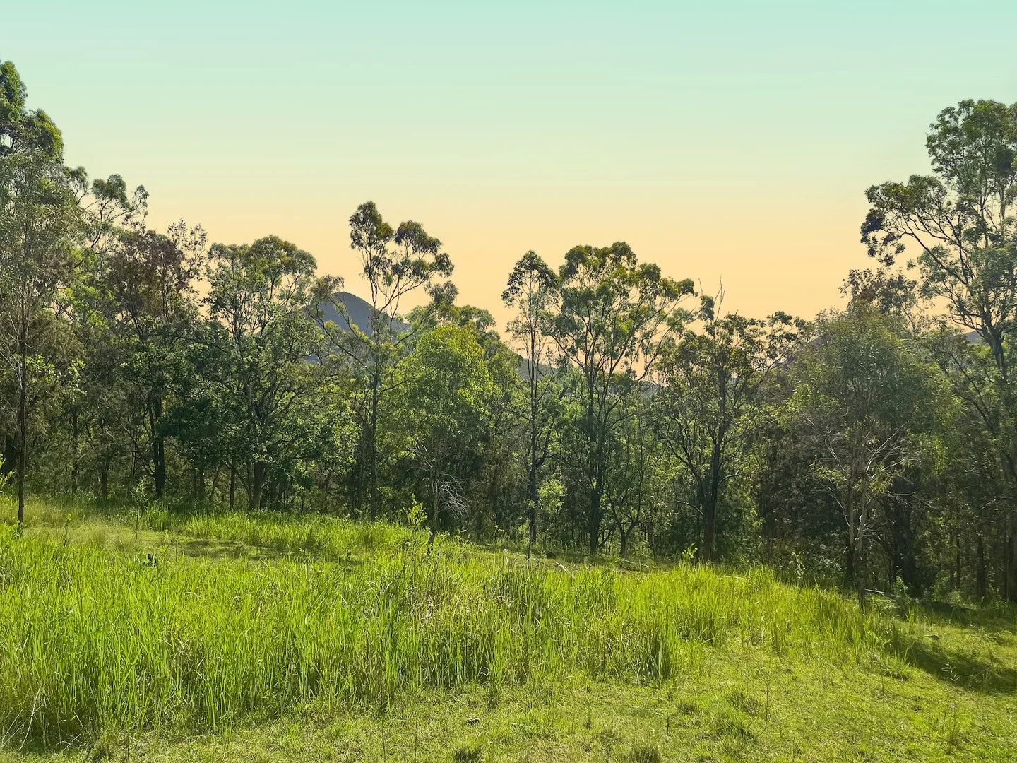 8454 Cunningham Highway, Tarome QLD 4309