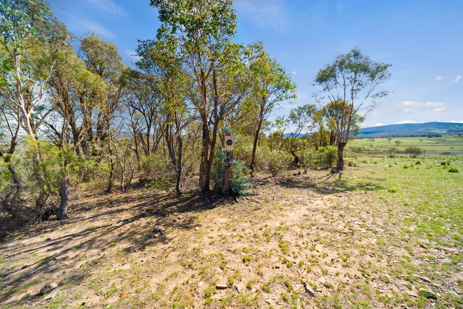 Additional image 4 of 474 Jones Plain Road, Shannons Flat NSW 2630