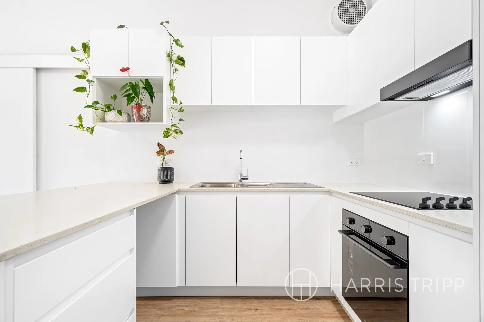 1/3 Grainger Avenue, Ashfield NSW 2131