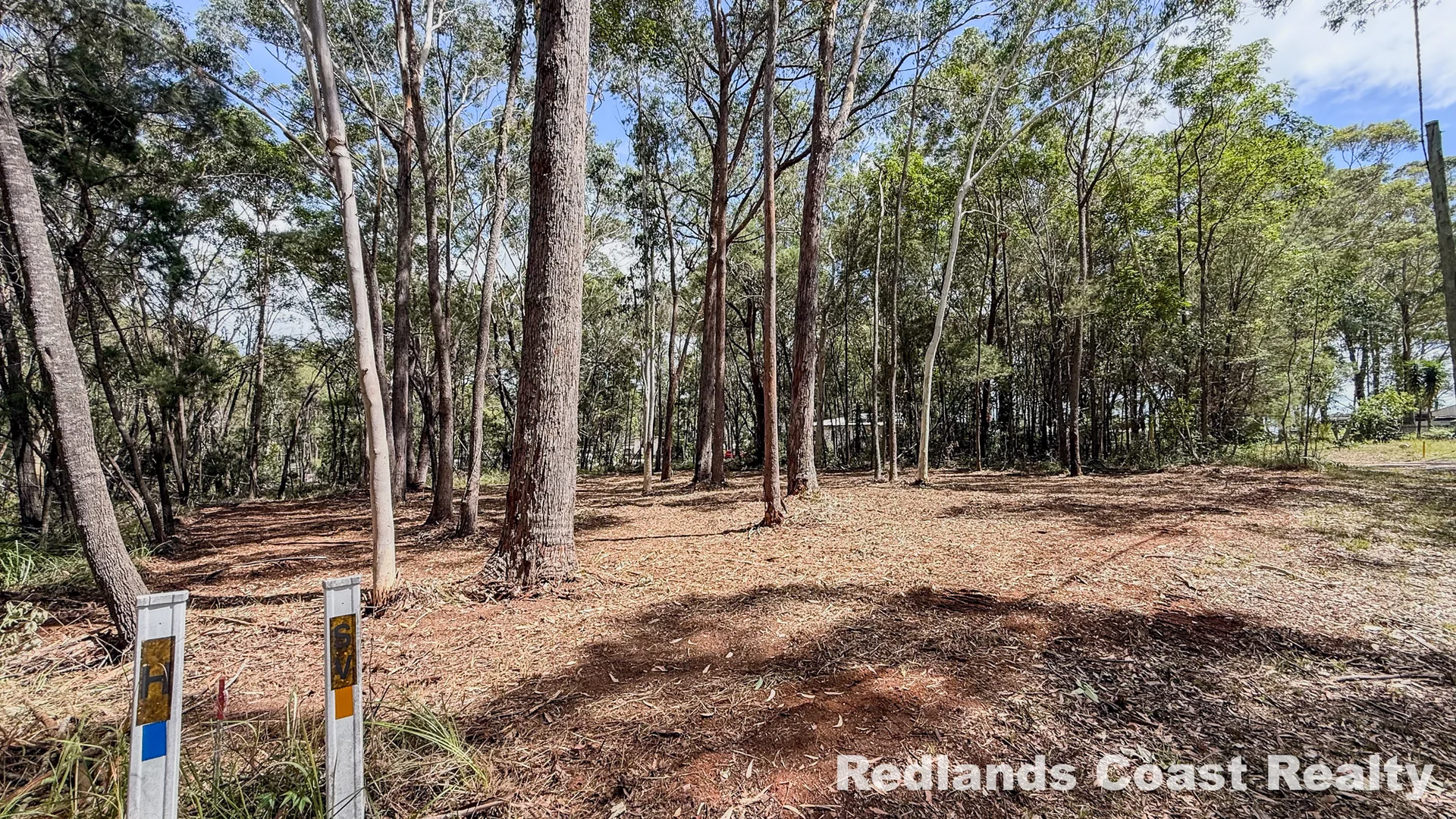 3 Canopy Crescent, Russell Island QLD 4184 photo 4