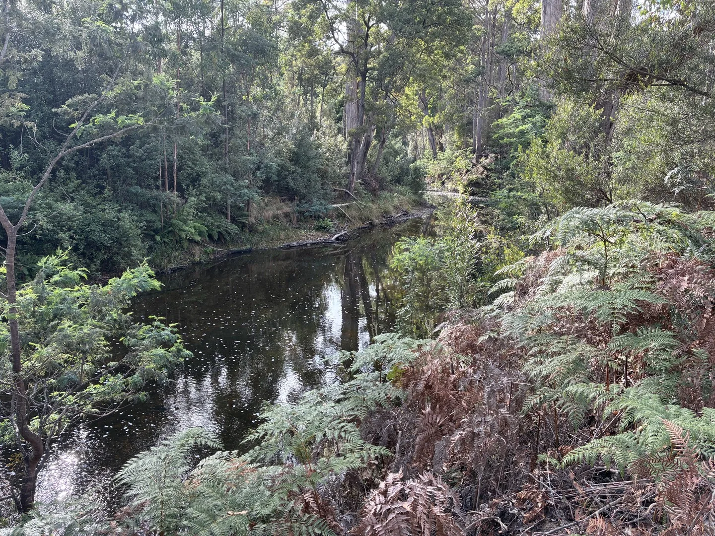 . Calder Road, Calder TAS 7325 photo 3