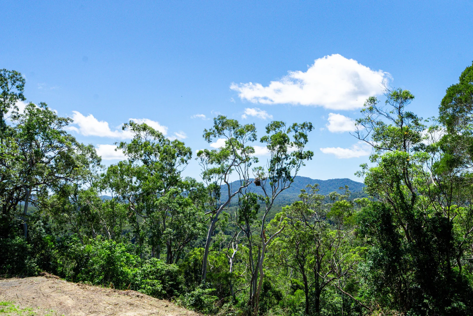 Additional image 16 of 108 Windy Hollow Road, Kuranda QLD 4881