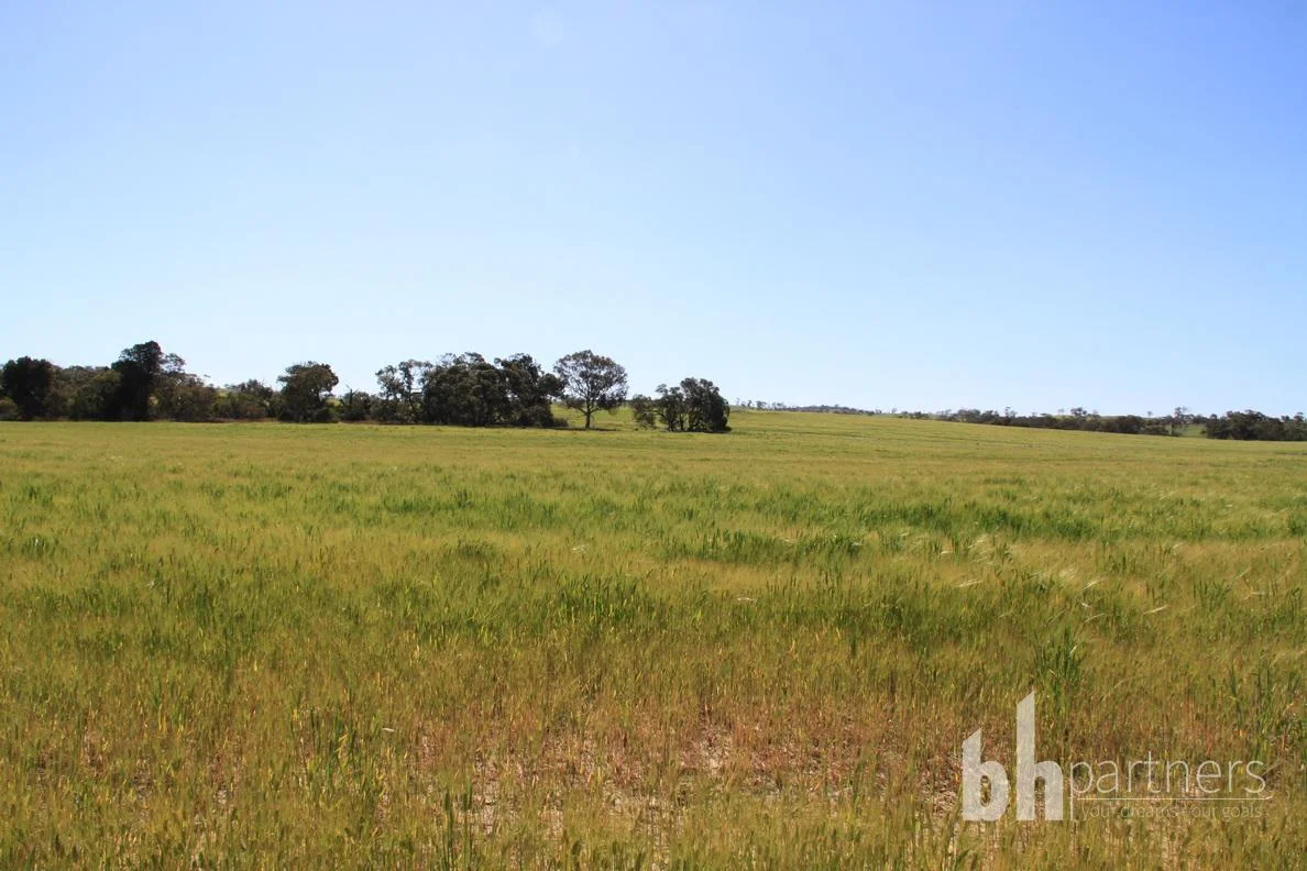Additional image 18 of Section 332 and Section 330 & 405 Kubenk Road, Rockleigh SA 5254