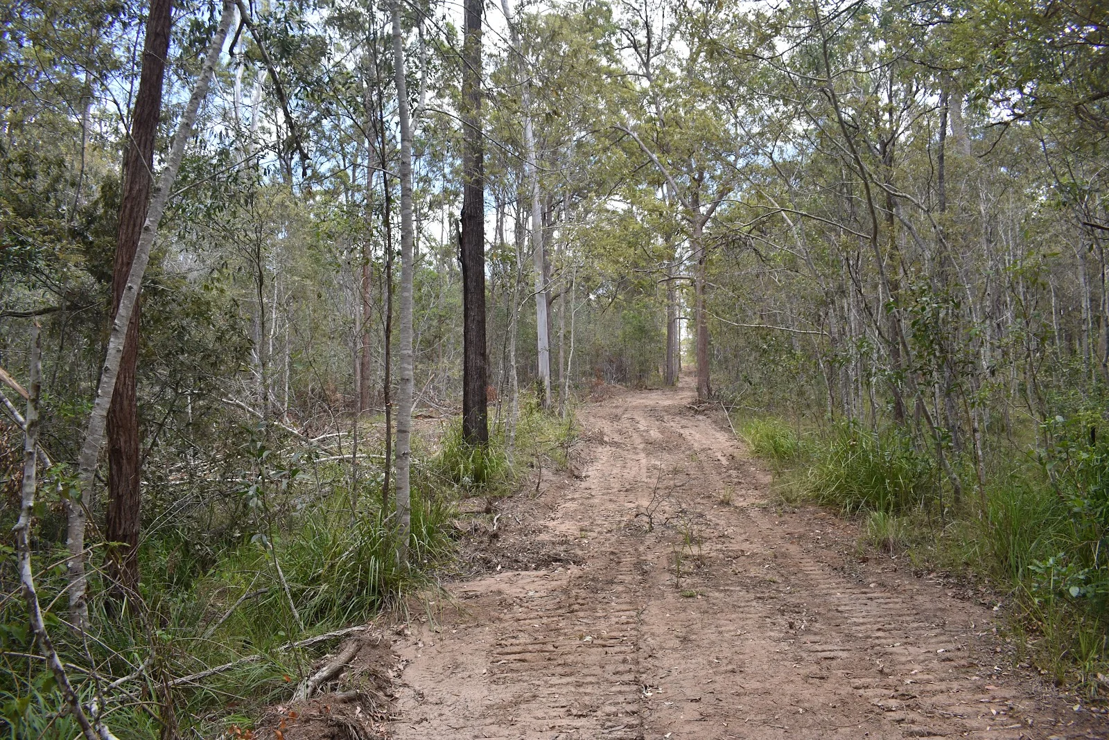 Additional image 3 of Lot 80 Keenes Road, Bauple QLD 4650