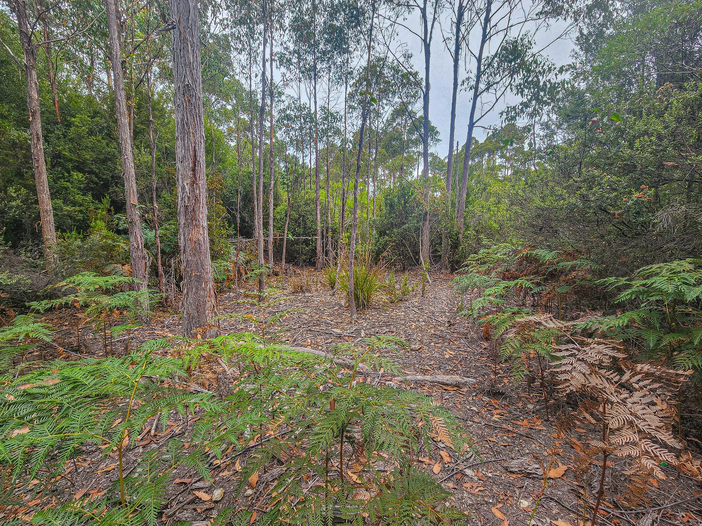 Additional image 15 of 1 Link Road, Lonnavale TAS 7109