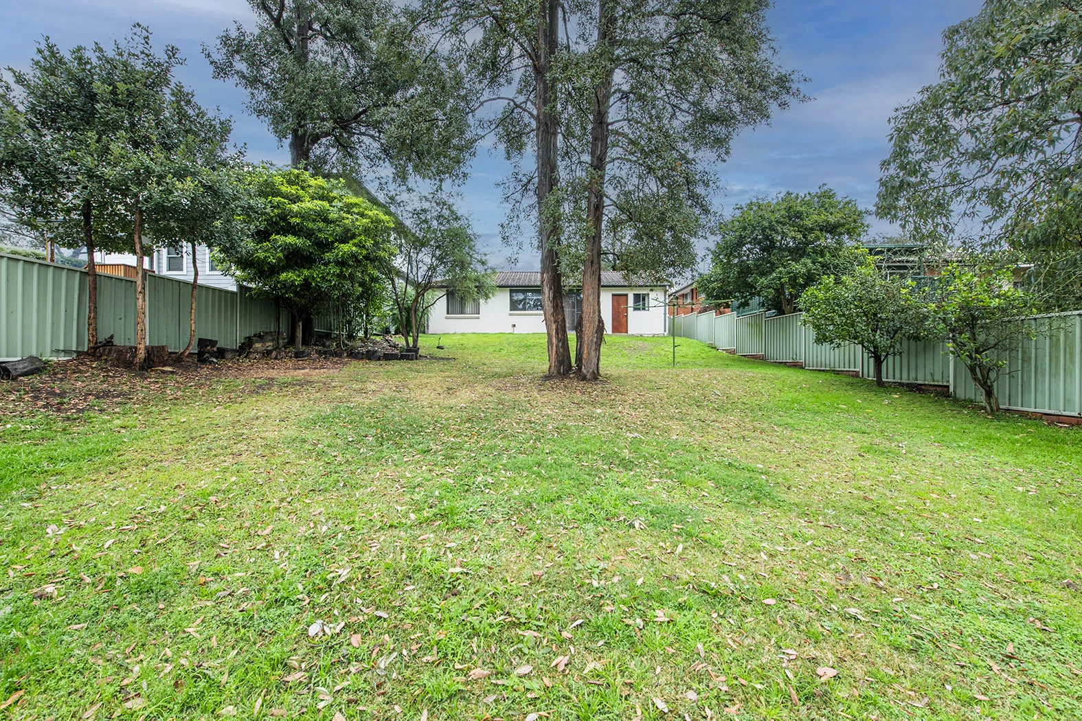 Additional image 9 of 30 Wilson Way, Blaxland NSW 2774