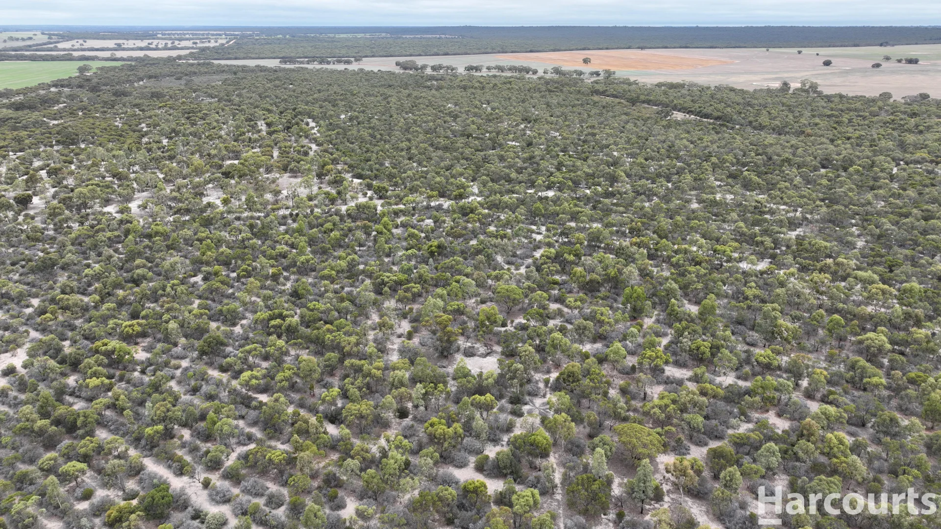 Additional image 30 of lot 2 Mitre Road, Nurcoung VIC 3401