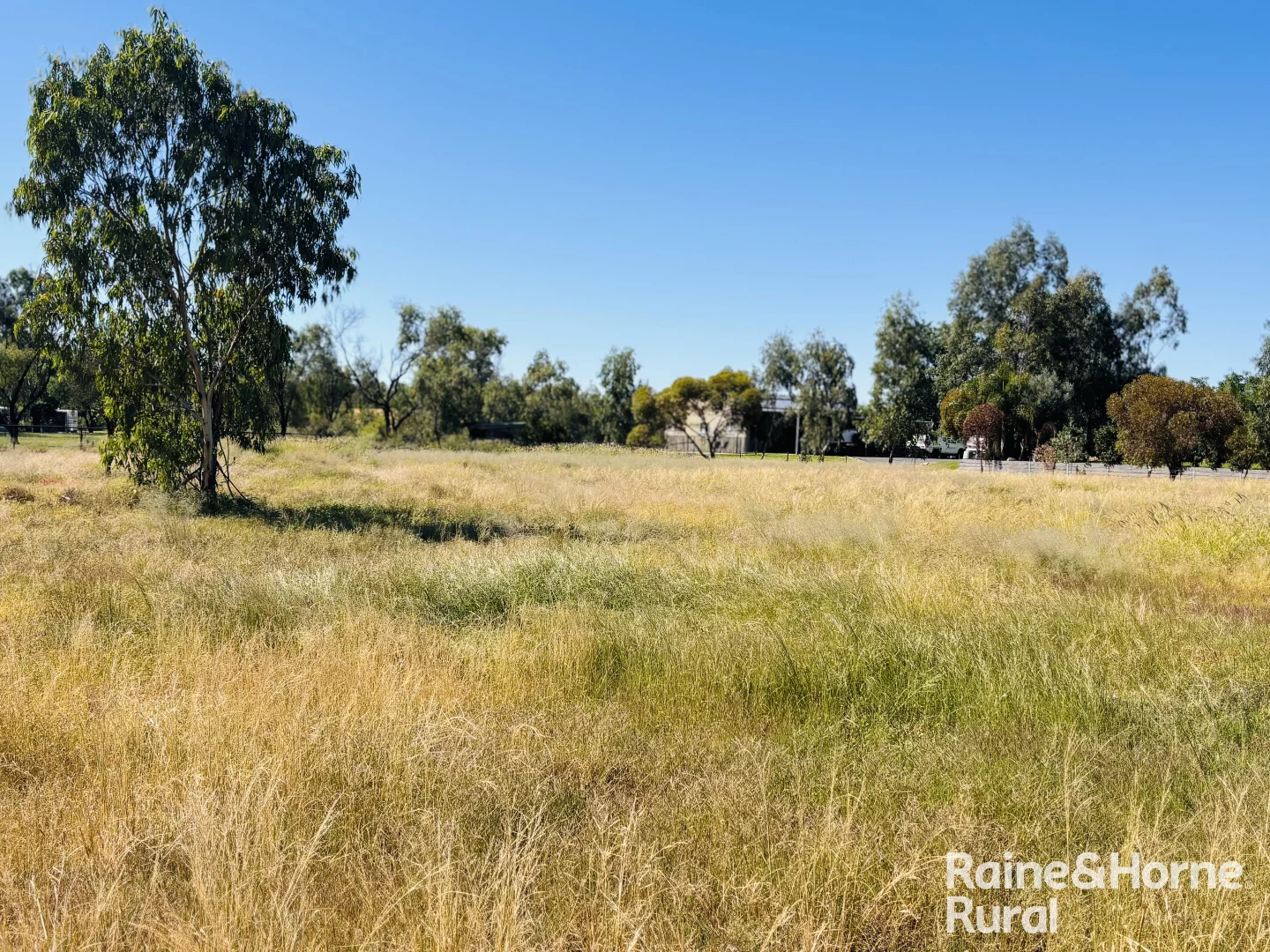 Additional image 13 of 60 Mcphie Street, Roma QLD 4455