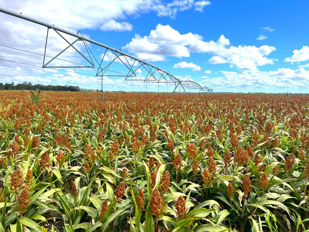 Additional image 21 of 2330 Dalby Cooyar Road, Kaimkillenbun QLD 4406