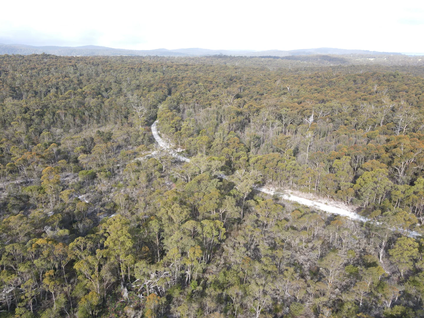 Additional image 6 of 25851 Tasman Highway, St Helens TAS 7216