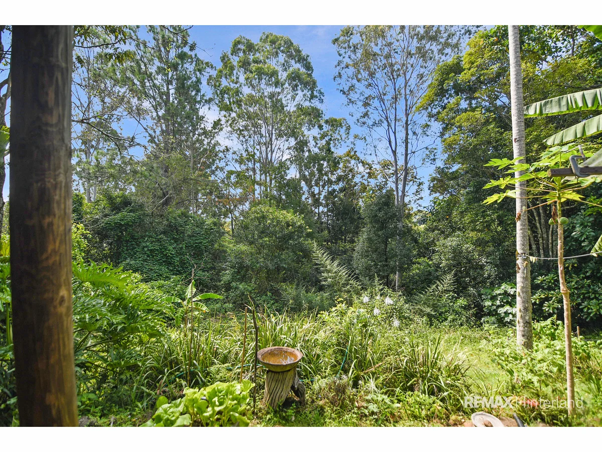 Additional image 10 of 51 Ensbey Road, Flaxton QLD 4560