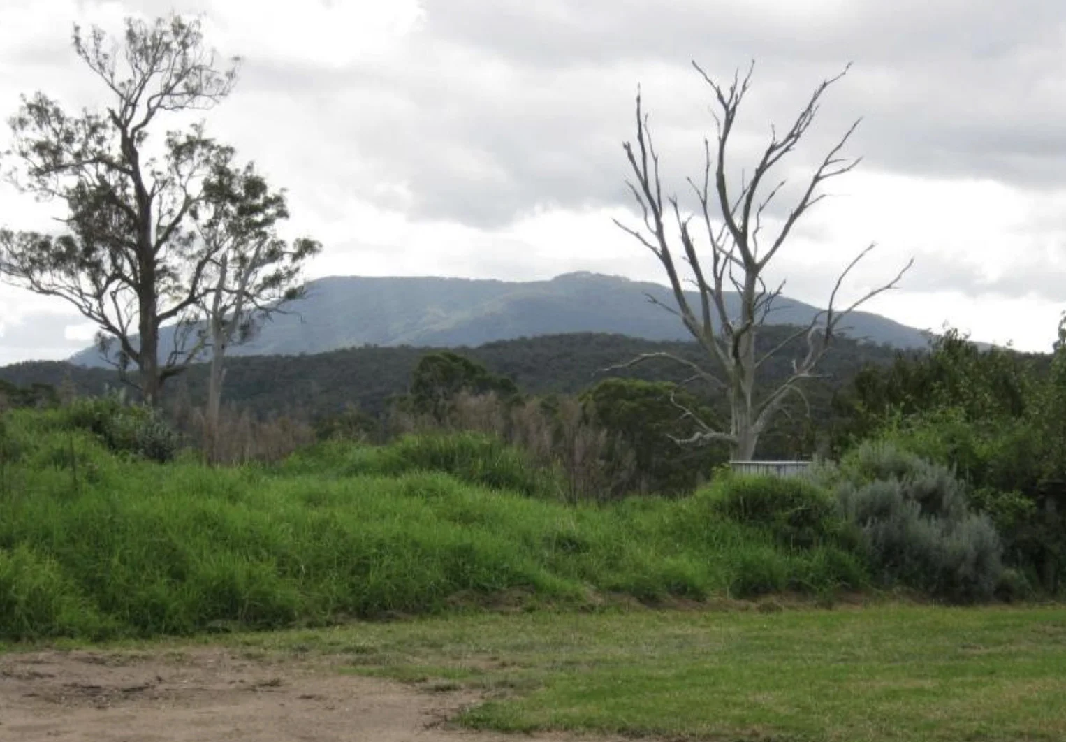 Additional image 25 of 874 Cobargo Bermagui Road, Coolagolite NSW 2550