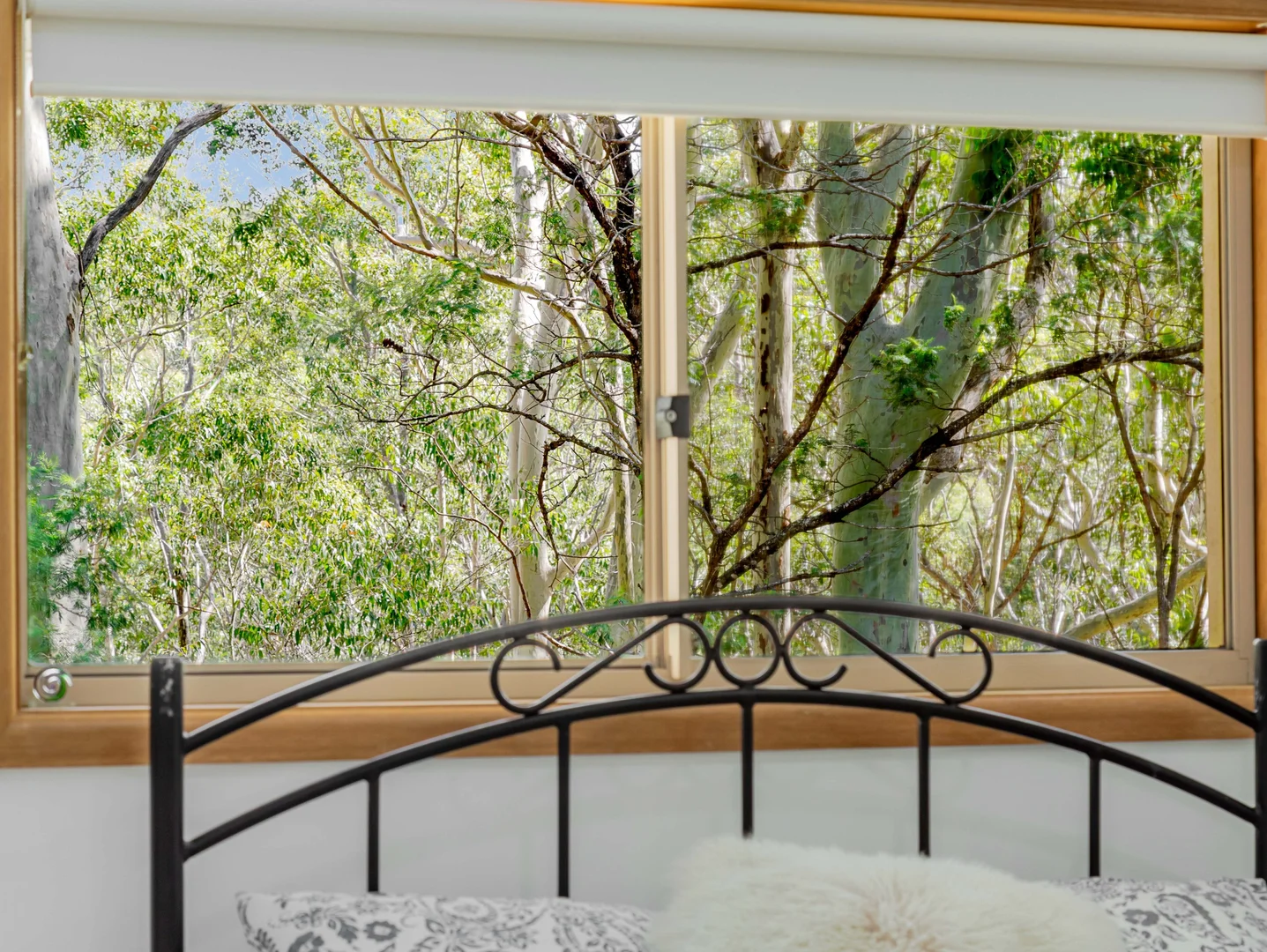 Additional image 18 of 18 Headland Grove, Moruya Heads NSW 2537